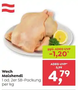 ADEG Wech Maishendl Angebot