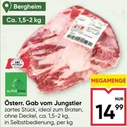Maximarkt Österr. Gab vom Jungstier Angebot