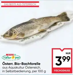 Maximarkt Österr. Bio-Bachforelle Angebot