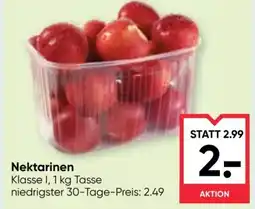 Maximarkt Nektarinen Angebot