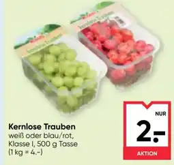 Maximarkt Kernlose Trauben Angebot