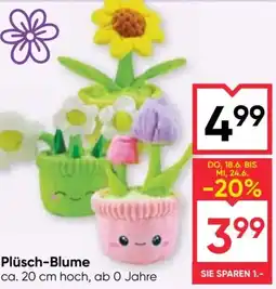 Maximarkt Plüsch-Blume Angebot