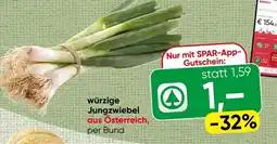 Spar würzige Jungzwiebel Angebot