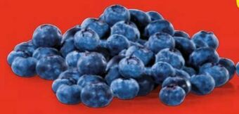 Hofer Heidelbeeren Angebot