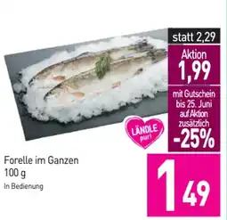 Sutterlüty Forelle im Ganzen Angebot