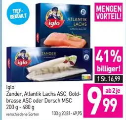 Sutterlüty Iglo Zander, Atlantik Lachs ASC, Gold- brasse ASC oder Dorsch MSC Angebot