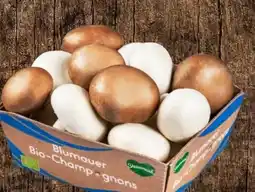 Eurospar Bad Blumauer Bio-Champignon Mix Angebot