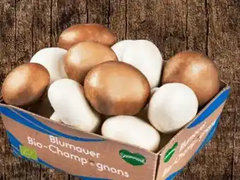 Eurospar Bad Blumauer Bio-Champignon Mix Angebot