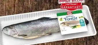 Eurospar S Budget Forelle Angebot