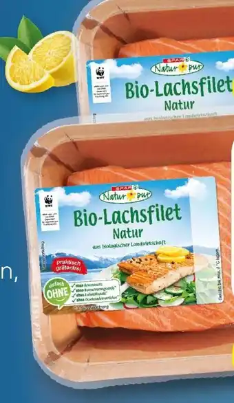 SPAR Gourmet Spar Natur pur Bio-Lachsfilet Angebot