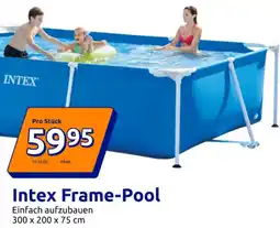 Action Intex Frame-Pool Angebot