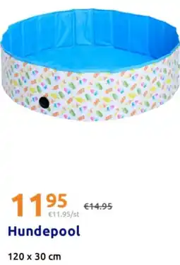 Action Hundepool Angebot