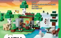 Lego 21593 Erstes Abenteuer in der Nacht 8+ Jahre Angebot