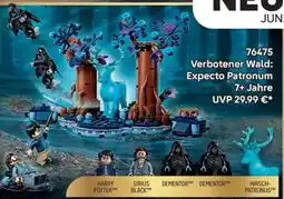 Lego 76475 Verbotener Wald: Expecto Patronum 7+ Jahre Angebot
