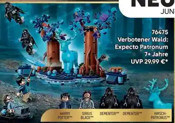 76475 Verbotener Wald: Expecto Patronum 7+ Jahre