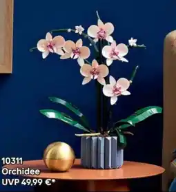 Lego 10311 Orchidee Angebot