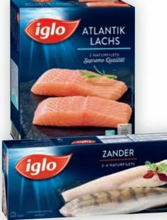 Billa Atlantik Lachs Angebot