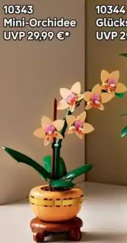 Lego 10343 Mini-Orchidee Angebot