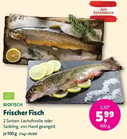 Denn's Biomarkt Frischer Fisch Angebot