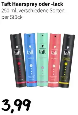 Eurogast Grissemann Taft Haarspray oder -lack Angebot
