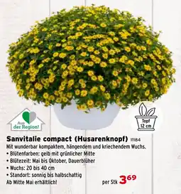 Salzburger Lagerhaus Sanvitalie compact (husarenknopf) Angebot