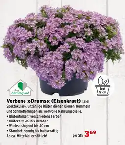 Salzburger Lagerhaus Verbene Drum (Eisenkraut) Angebot