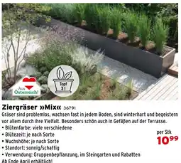 Salzburger Lagerhaus Ziergräser Mix Angebot