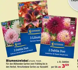 Salzburger Lagerhaus Blumenzwiebel Angebot
