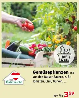 Salzburger Lagerhaus Gemüsepflanzen Angebot