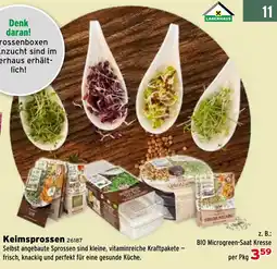 Salzburger Lagerhaus Keimsprossen Angebot