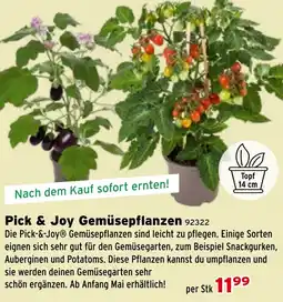 Salzburger Lagerhaus Pick & Joy Gemüsepflanzen Angebot