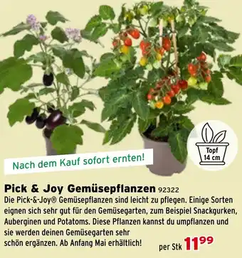 Salzburger Lagerhaus Pick & Joy Gemüsepflanzen Angebot