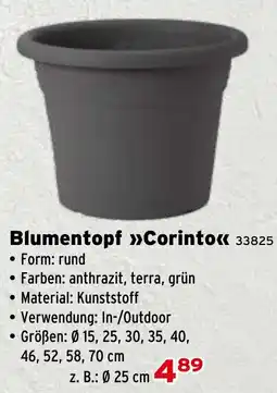 Salzburger Lagerhaus Blumentopf Corinto Angebot