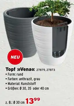 Salzburger Lagerhaus Topf Vena Angebot
