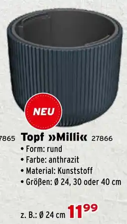Salzburger Lagerhaus Topf Milli Angebot