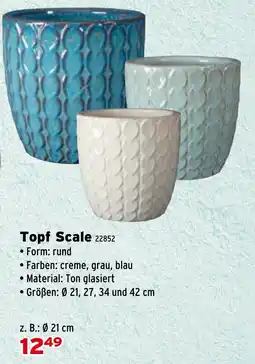 Salzburger Lagerhaus Topf Scale Angebot