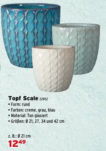Salzburger Lagerhaus Topf Scale Angebot