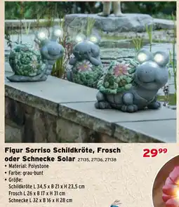 Salzburger Lagerhaus Figur Sorriso Schildkröte, Frosch oder Schnecke Solar Angebot