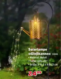Salzburger Lagerhaus Solarlampe Gießkanne Angebot