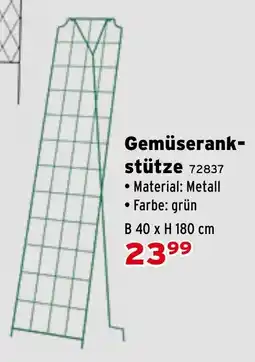 Salzburger Lagerhaus Gemüserank- stütze Angebot