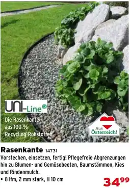 Salzburger Lagerhaus Rasenkante Angebot