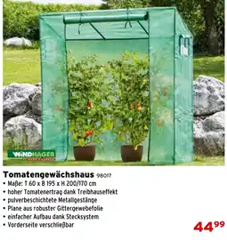 Salzburger Lagerhaus Tomatengewächshaus Angebot