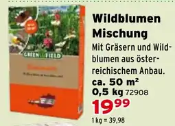 Salzburger Lagerhaus Wildblumen Angebot