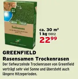 Salzburger Lagerhaus Greenfield rasensamen trockenrasen Angebot