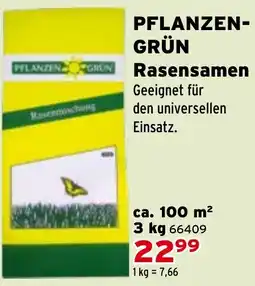 Salzburger Lagerhaus PFLANZEN- GRÜN Rasensamen Angebot