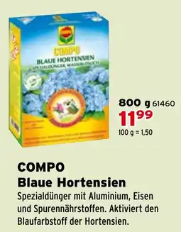 Salzburger Lagerhaus Compo blaue hortensien Angebot
