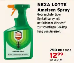 Salzburger Lagerhaus NEXA LOTTE Ameisen Spray Angebot