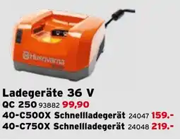 Salzburger Lagerhaus Ladegeräte 36 V QC 250 Angebot