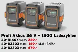 Salzburger Lagerhaus Profi Akkus 36 V-1500 Ladezyklen Angebot