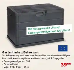 Salzburger Lagerhaus Gartentruhe Beta Angebot